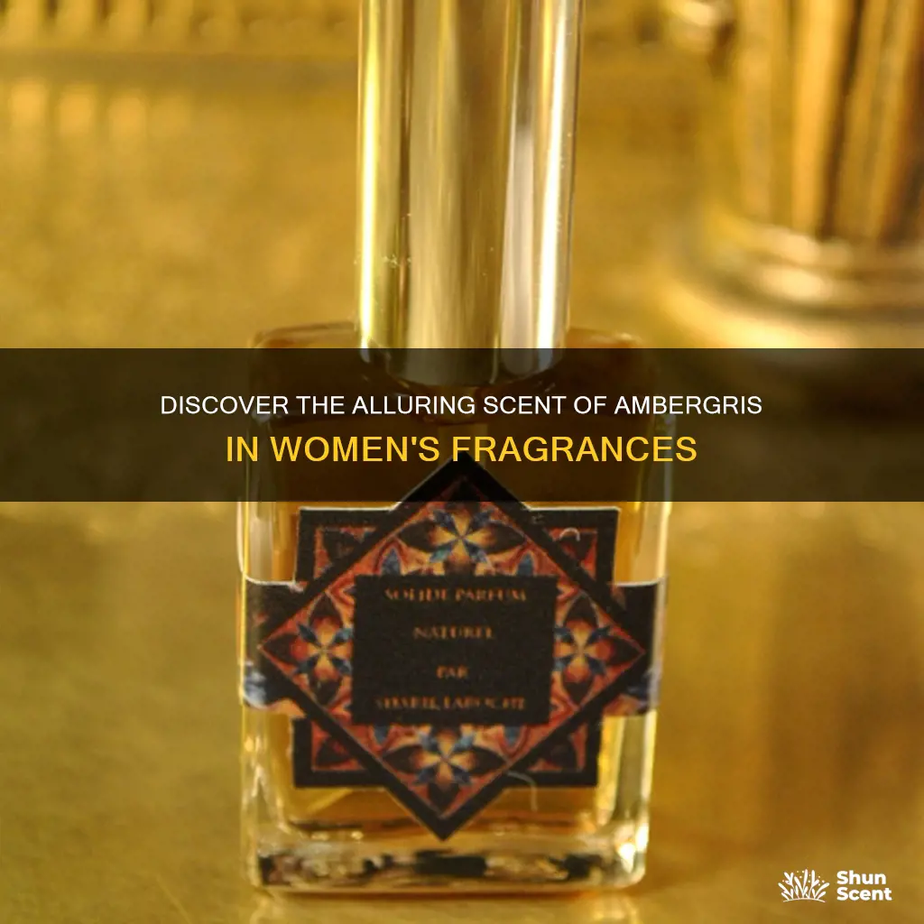 which womens fragrances contain ambergris