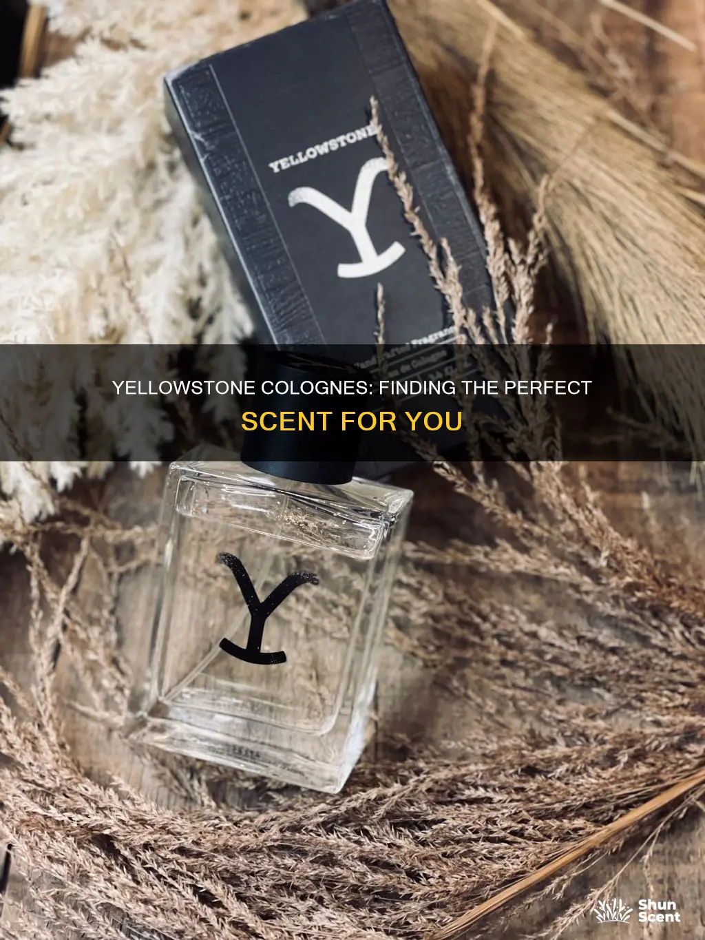 which yellowstone cologne is better