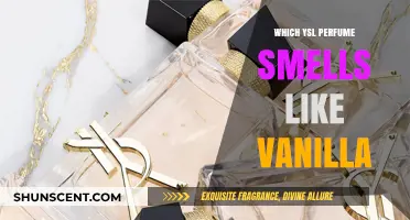 Vanilla-Infused Scents: Exploring YSL's Fragrance Collection