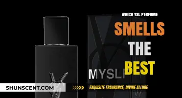 The Best YSL Perfume Scents for You