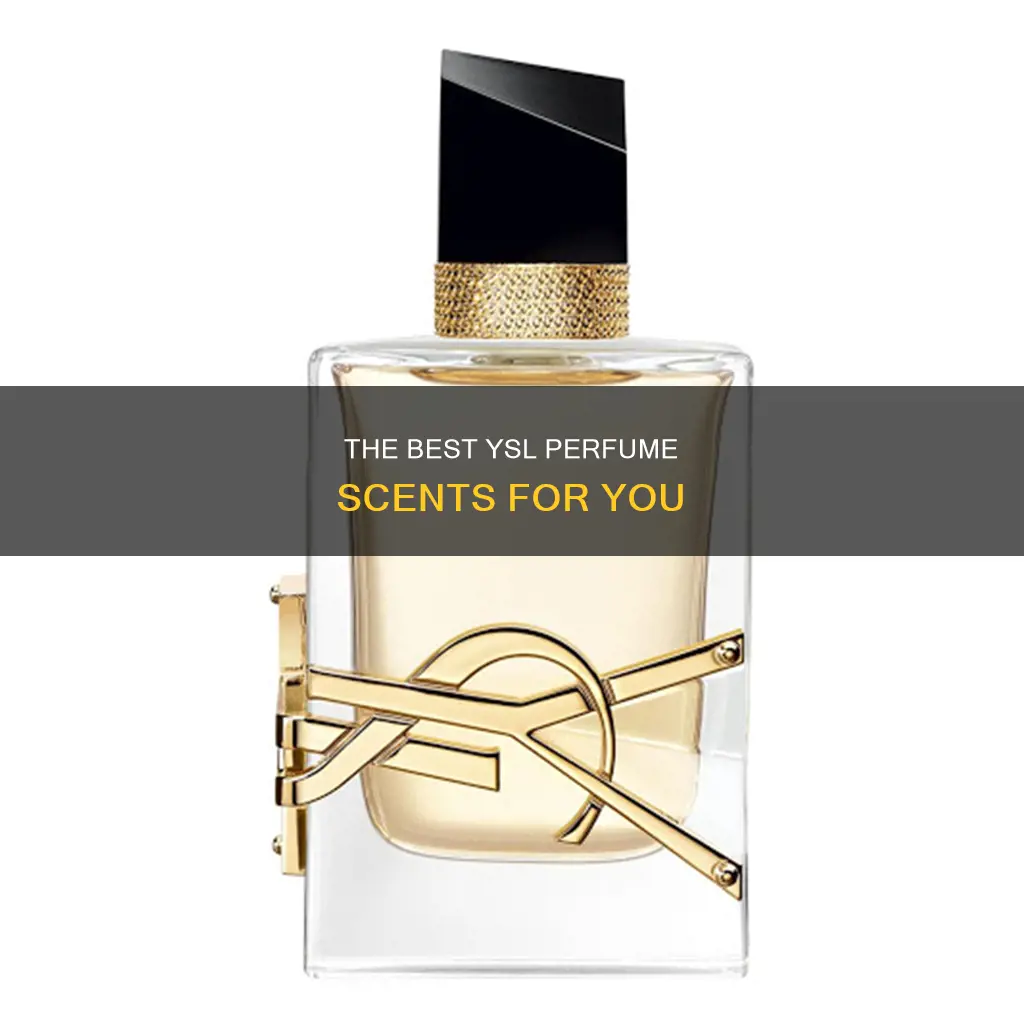 which ysl perfume smells the best