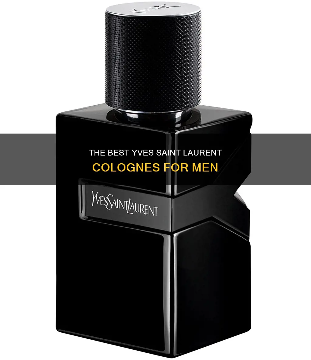 which yves saint laurent cologne is the best