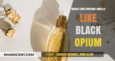 Zara Scents Similar to Black Opium: A Guide