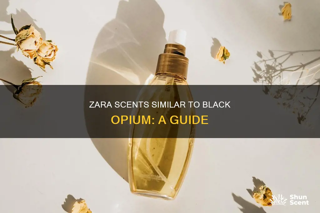 which zara perfume smells like black opium