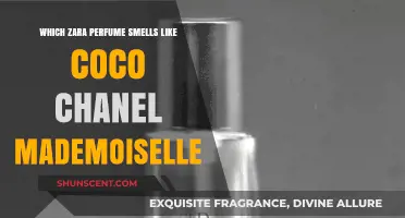 Zara's Affordable Dupes for Chanel's Iconic Perfumes