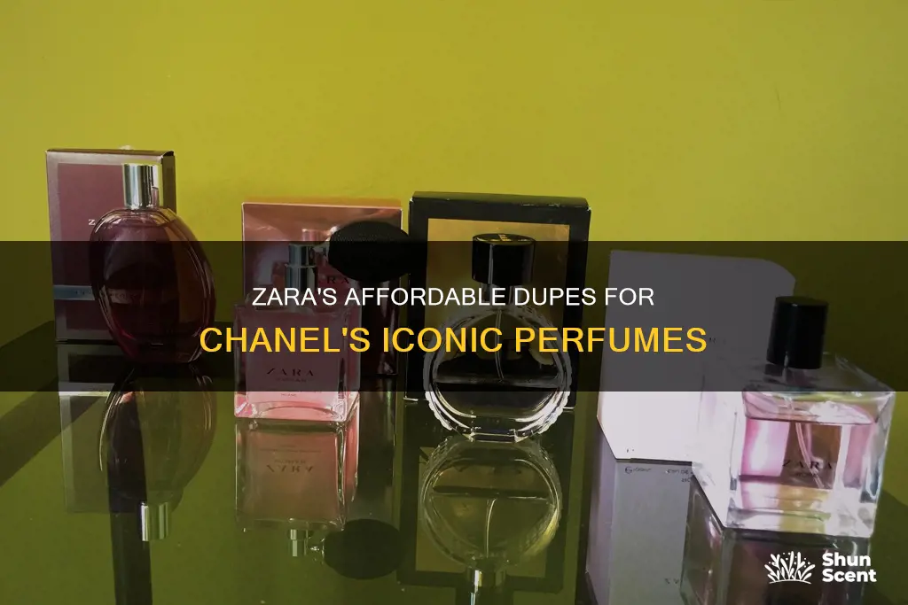 which zara perfume smells like coco chanel mademoiselle