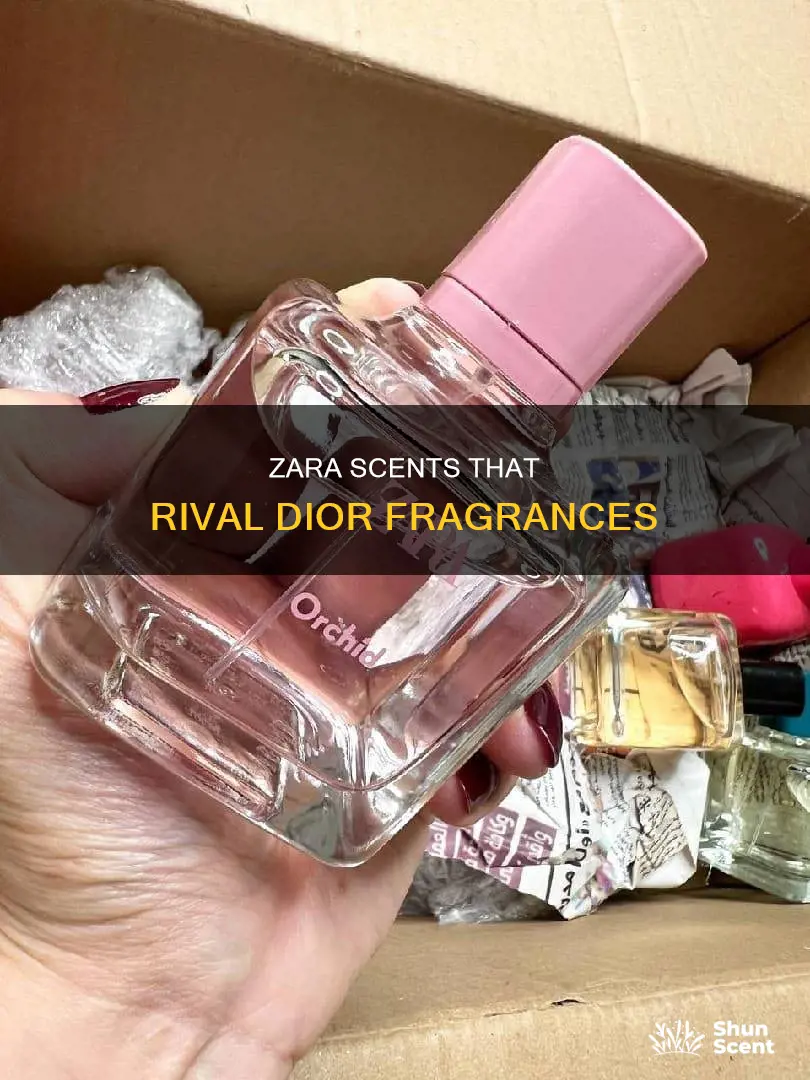which zara perfume smells like dior