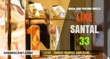 Zara's Santal 33 Dupes: Smell Good, Spend Less