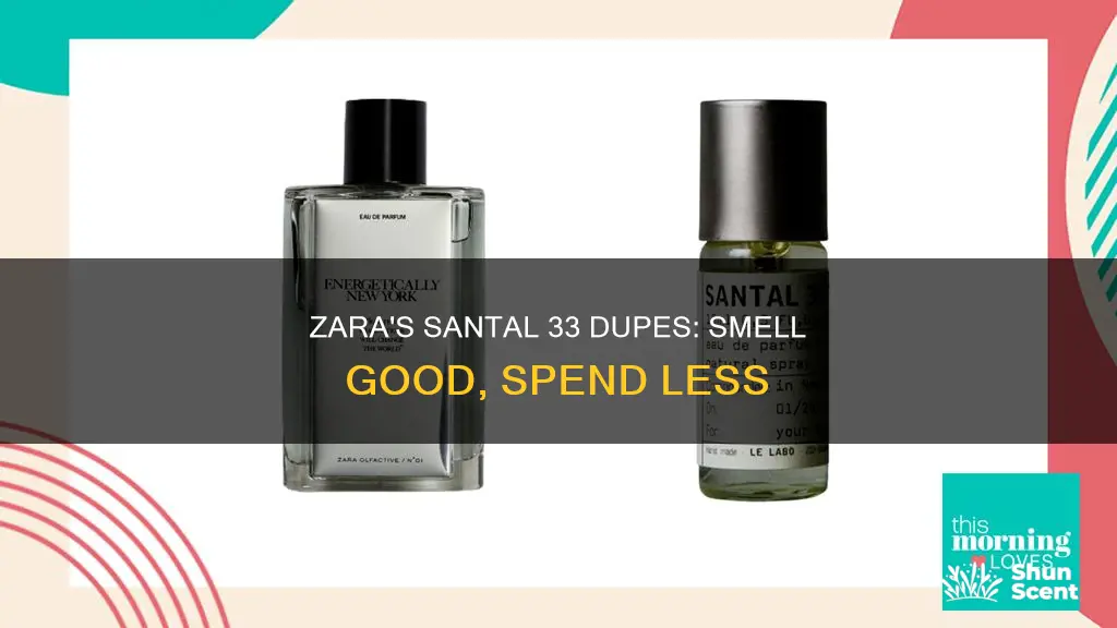 which zara perfume smells like santal 33