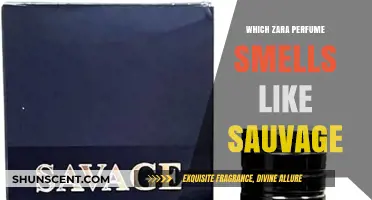 Zara Scents Similar to Sauvage: A Comparison Guide