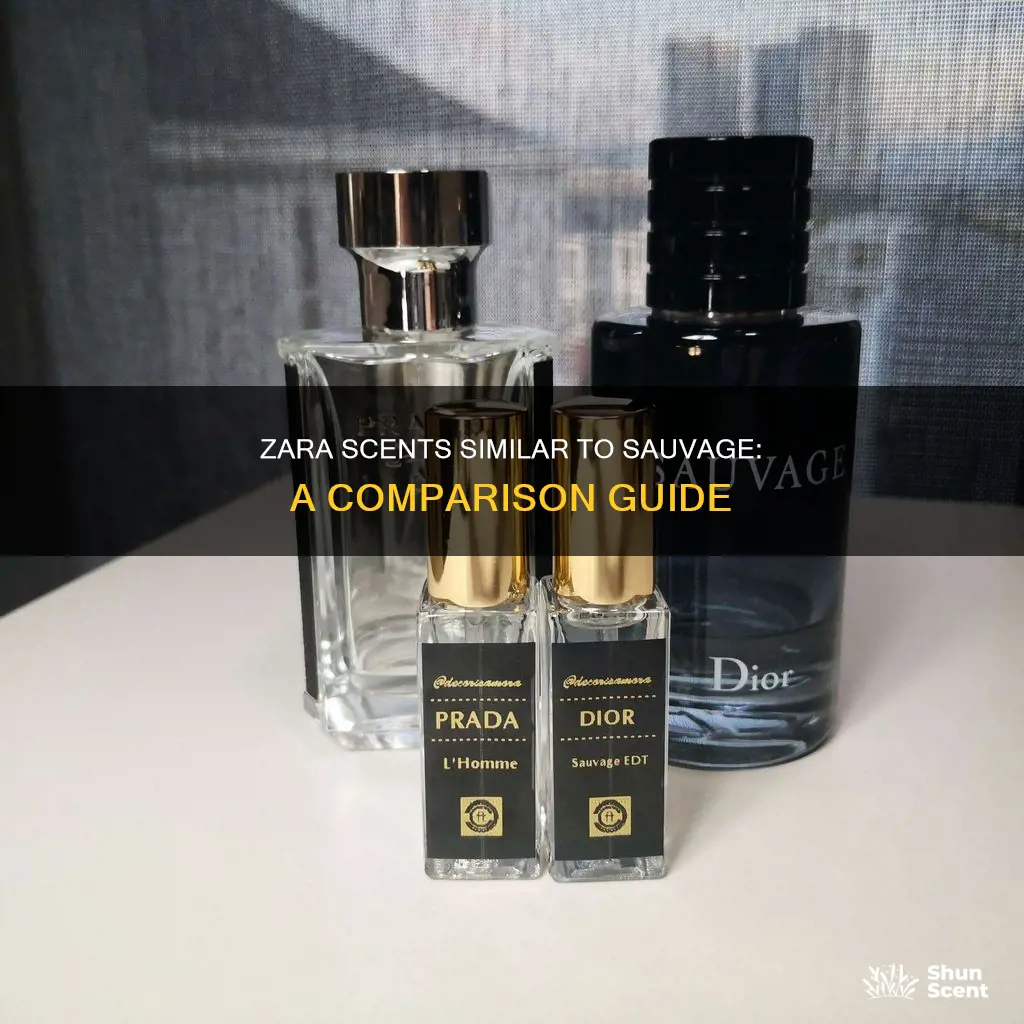 which zara perfume smells like sauvage