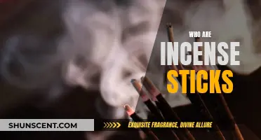 Incense Sticks: What Are They and How to Use Them?