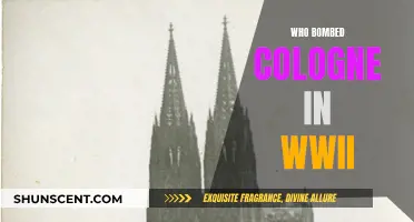 Cologne's WWII Tragedy: Who Bombed the City?