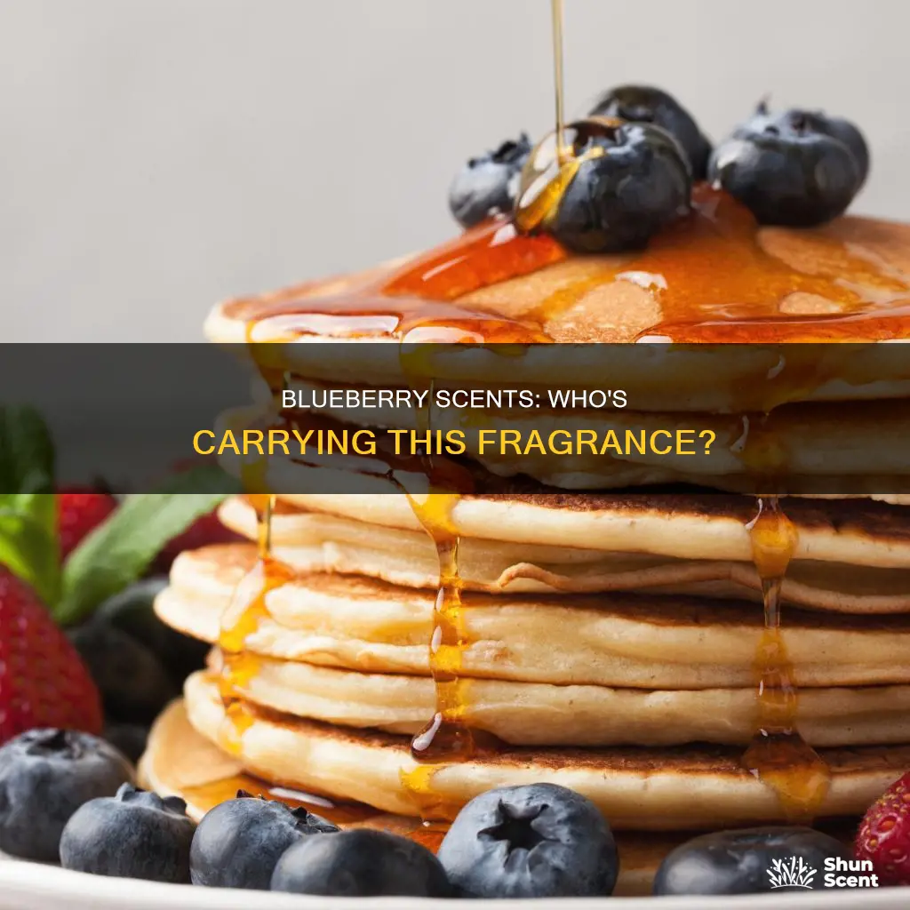 who carries mr blueberry fragrance