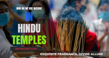 Incense in Hindu Temples: Spiritual Significance