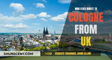 Direct Flights from the UK to Cologne: Who Offers Them?