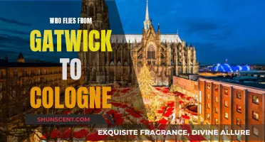 Travelers from Gatwick to Cologne: Who's Flying This Route?