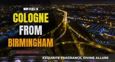 Birmingham to Cologne: Who Offers Direct Flights?