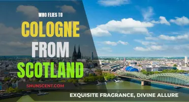 Scottish Flights to Cologne: Who Offers This Route?