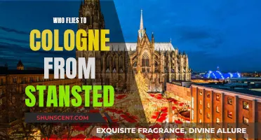 Stansted to Cologne: Who Offers Direct Flights?