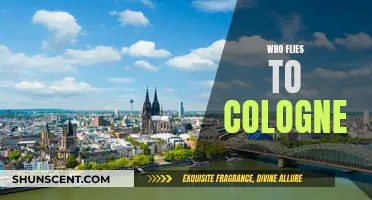 Travelers to Cologne: Who's Flying There and Why