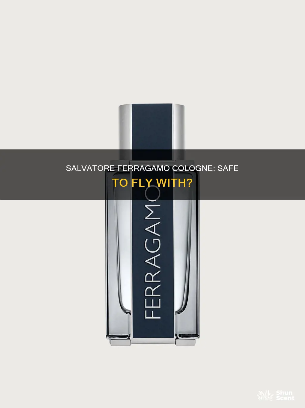 who has taken salvatore ferragamo cologne on plane