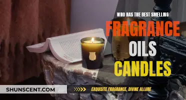 The Best Fragrance Oil Candles: An Olfactory Delight