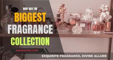 The Fragrance Aficionado: Who Has the Most?