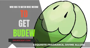 How to Hatch a Budew with Rose Incense?