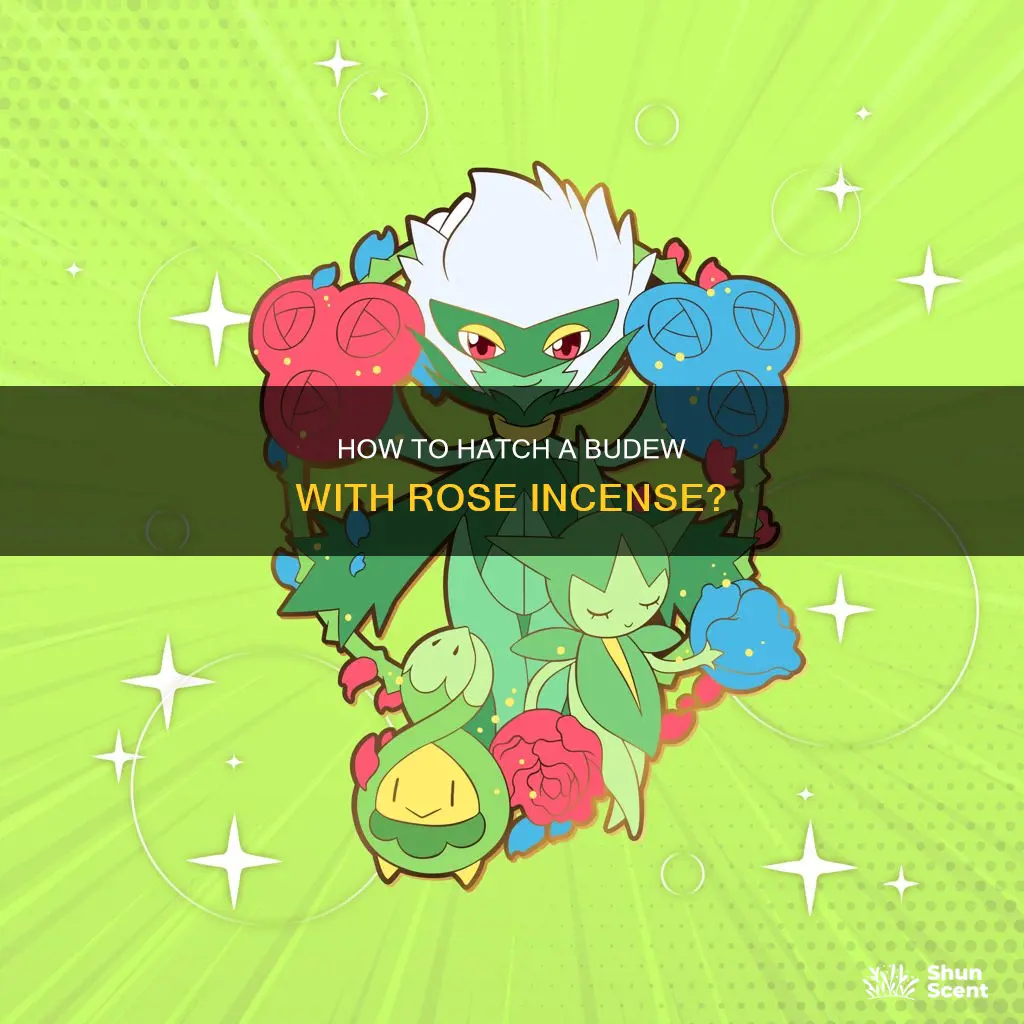 who has to hatch rose incense to get budew