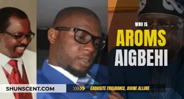 The Life and Times of Aroms Aigbehi