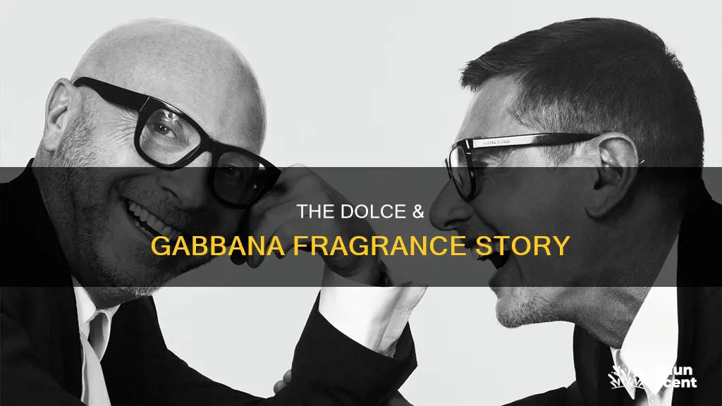 who is dolce and gabbana fragrances p g prestige beaute