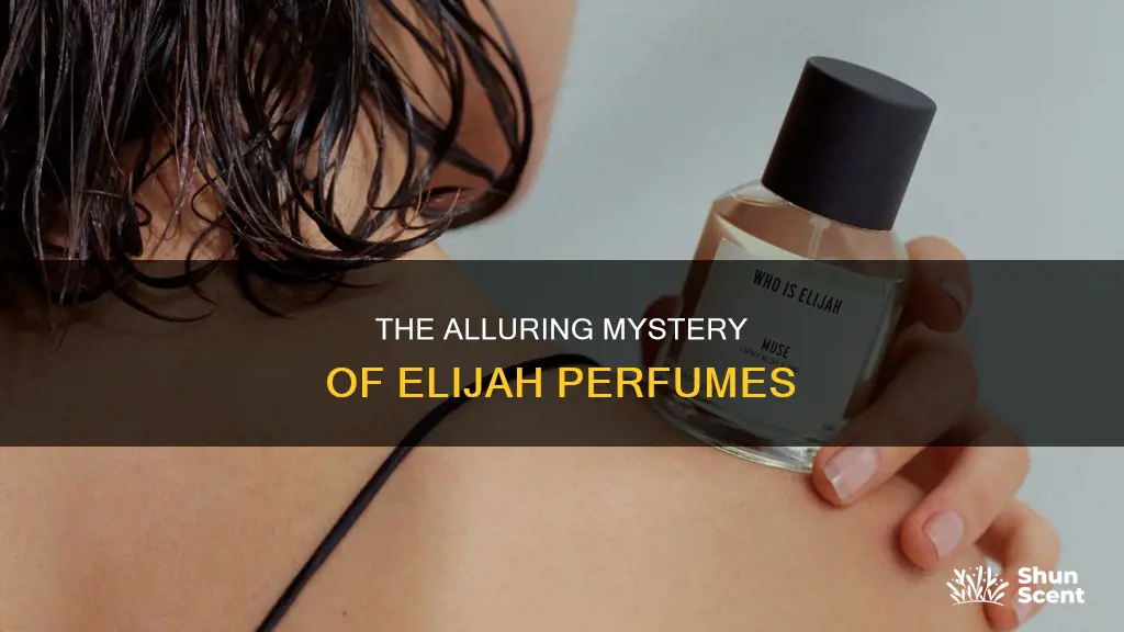 who is elijah perfume