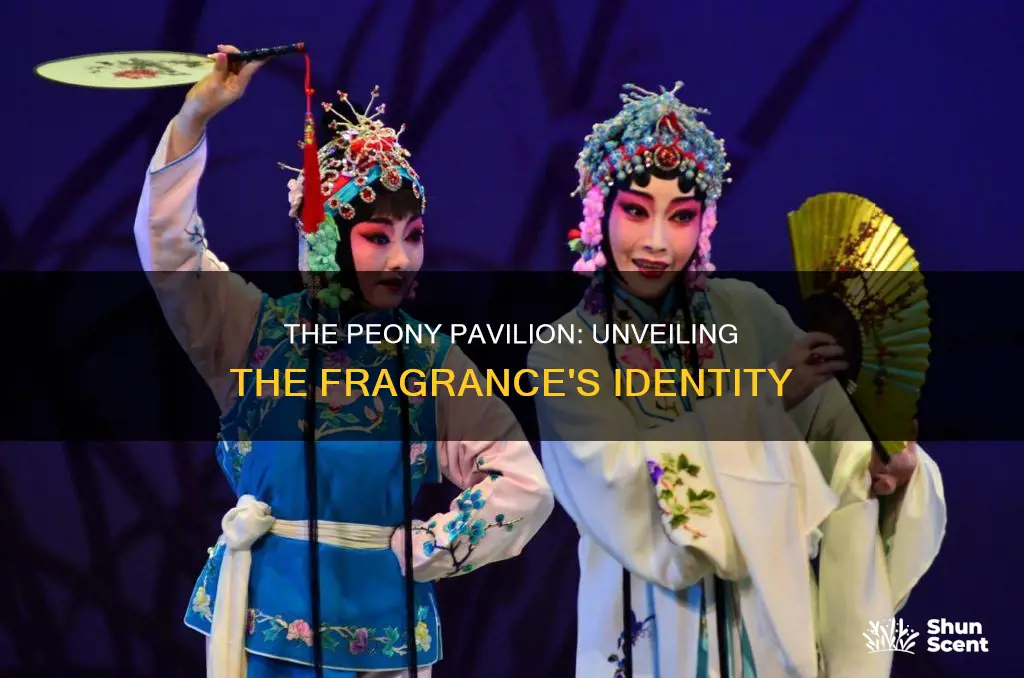 who is fragrance in peony pavillion