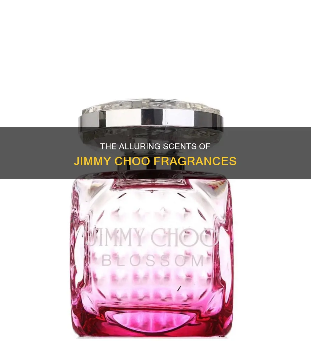 who is jimmy choo fragrance
