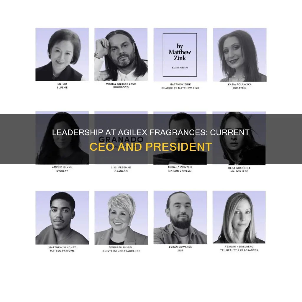 who is the current ceo or president at agilex fragrances