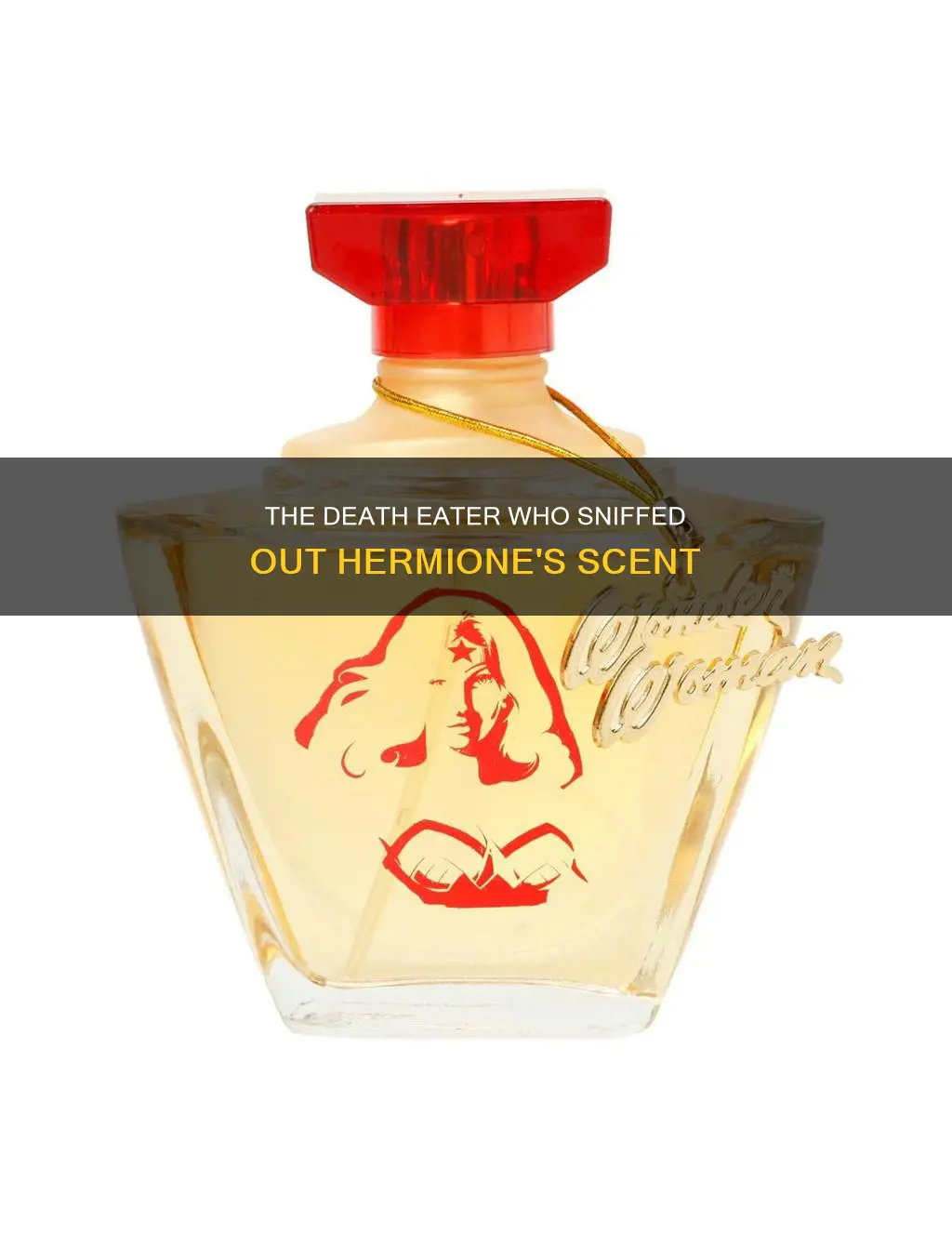 who is the death eater that smells hermione