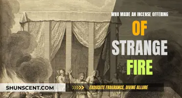 Strange Fire: Incense Offering and its Consequences