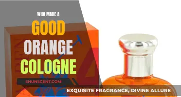 The Best Brands for Orange-Based Colognes