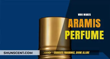 The Story Behind Aramis: Who Makes This Iconic Scent?