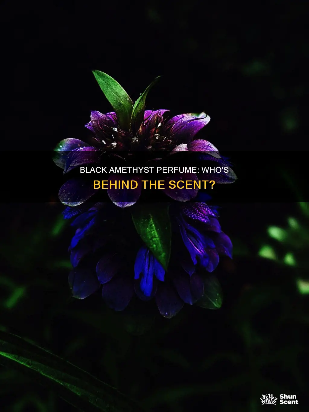 who makes black amethyst perfume