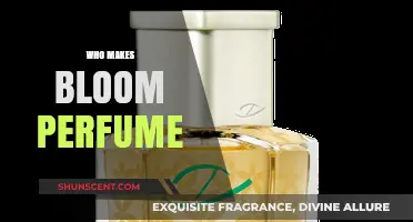 Bloom: The Masterminds Behind the Fragrance