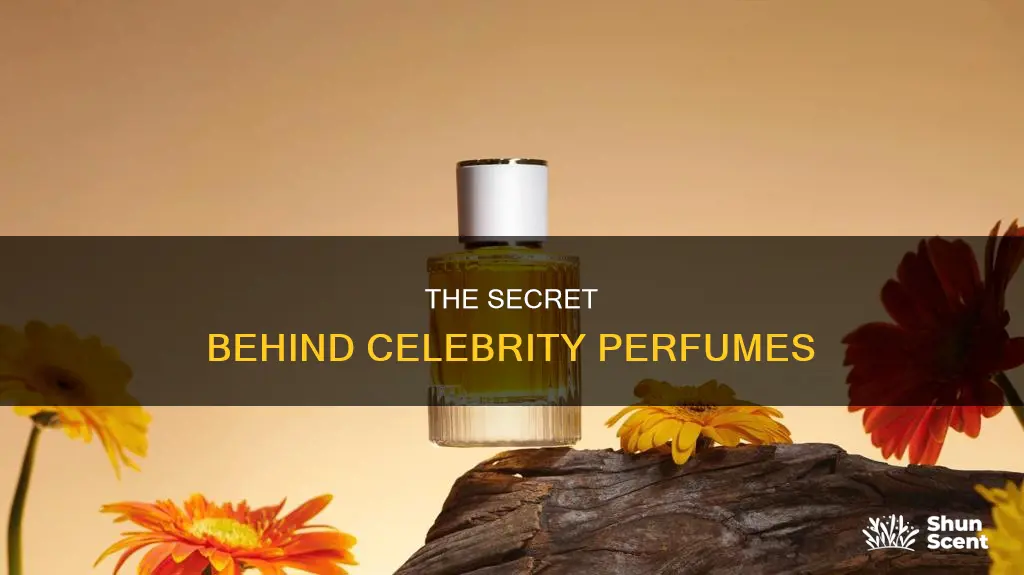 who makes celebrity perfumes