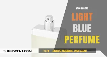 The Light Blue Perfume: Who's Behind the Scent?