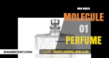Perfume Maker Behind Molecule 01: Unmasking the Creator