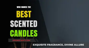 Discovering the Top Artisan Brands for Luxurious Scented Candles