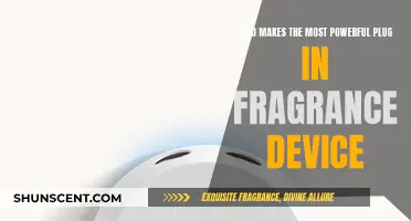 The Most Powerful Plug-in Fragrance Device: Who Makes It?