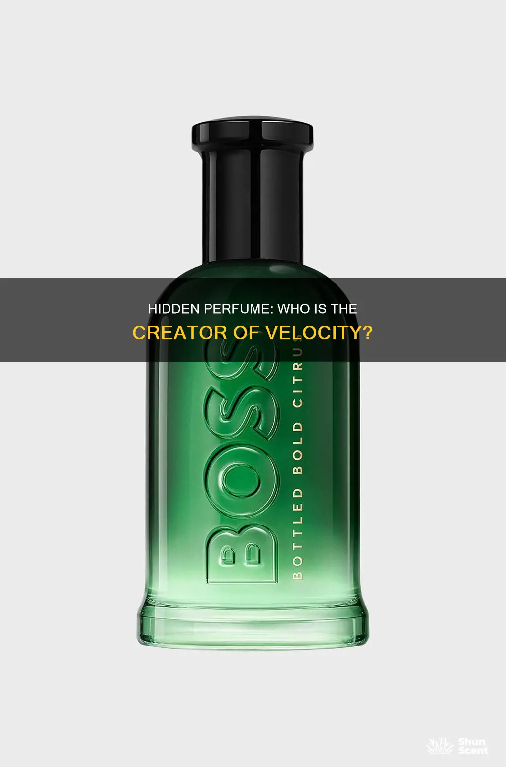 who makes velocity hidden perfume