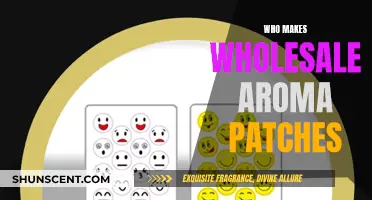 Wholesale Aroma Patches: Who Are the Manufacturers?