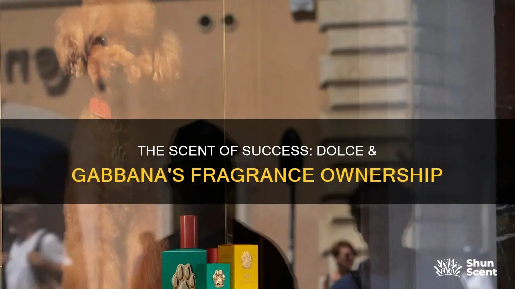 who owns dolce and gabbana fragrance